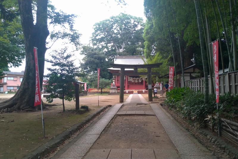 三芳野神社｜川越・通りゃんせ発祥の地！歴史・ご利益・御朱印は？