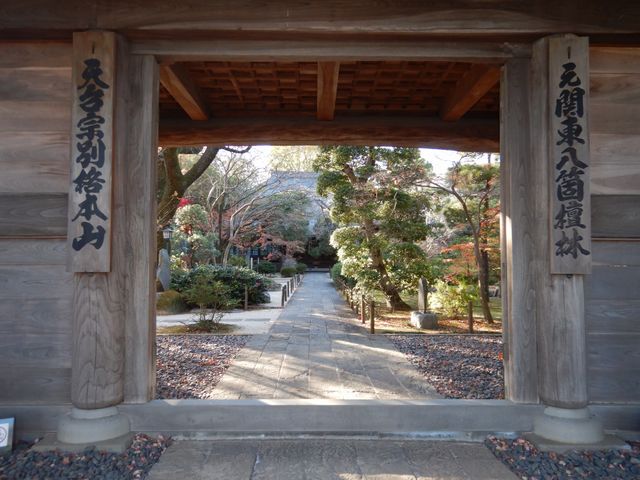 中院