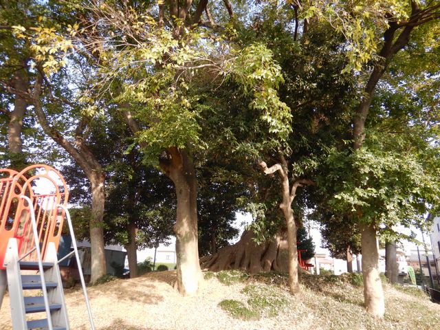 川越・三変稲荷神社古墳