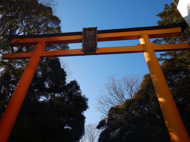 川越氷川神社 大鳥居