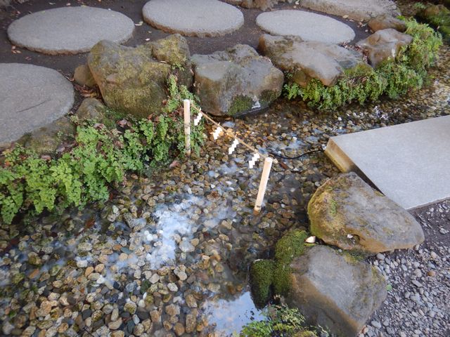 川越氷川神社 人形流し
