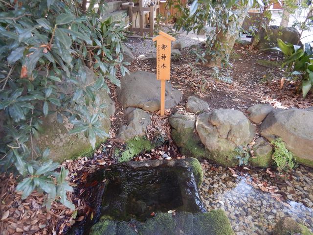 川越氷川神社 人形流し