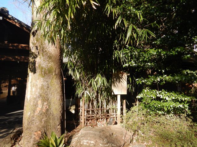 川越氷川神社 太田道灌手植えの矢竹・和歌