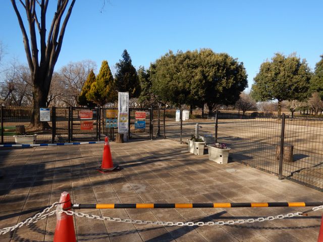 川越水上公園 ドッグラン