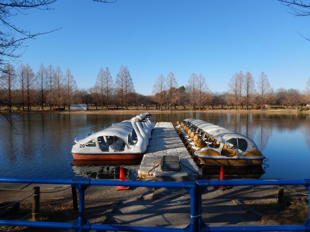 水上公園の貸しボート