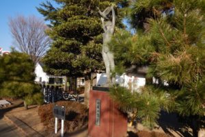 川越初雁公園|駐車場・アクセス・遊具を紹介!【写真あり】