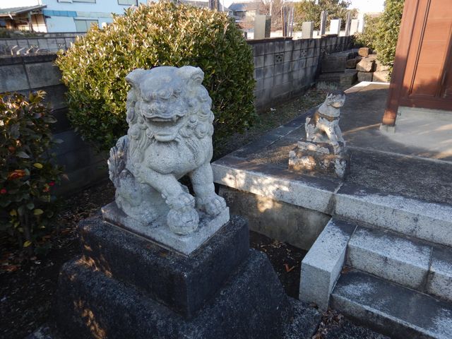 菅間神明神社 狛犬