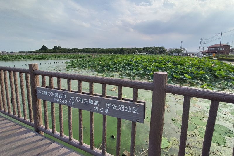 川越・伊佐沼公園