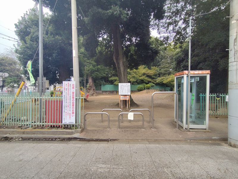 川越・喜多院公園