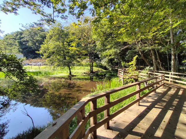 仙波河岸史跡公園