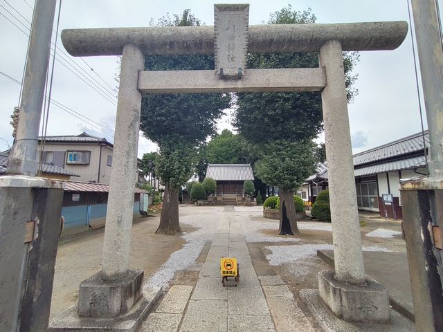 川越｜野田神社 参道と二本の大木