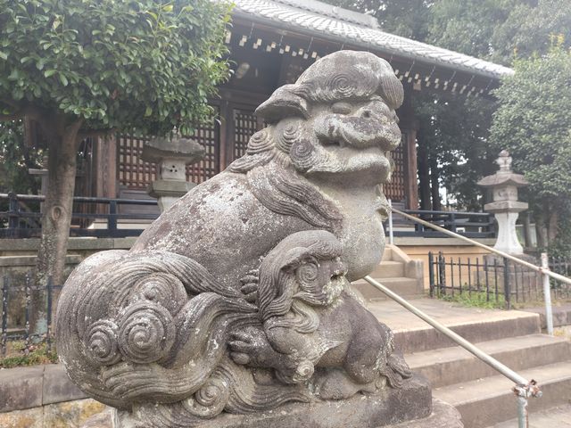 川越｜野田神社 狛犬