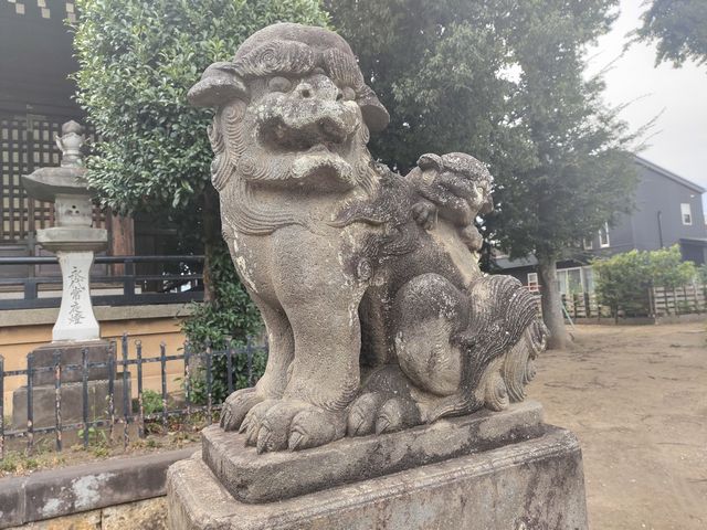 川越｜野田神社 狛犬