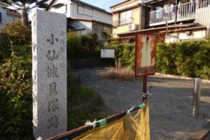 小仙波貝塚跡│住宅街にひっそりたたずむ川越の遺跡！歴史・見どころを紹介