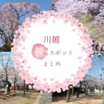 【2022年版】川越の桜の名所7選!開花の時期や見頃のスポットを紹介