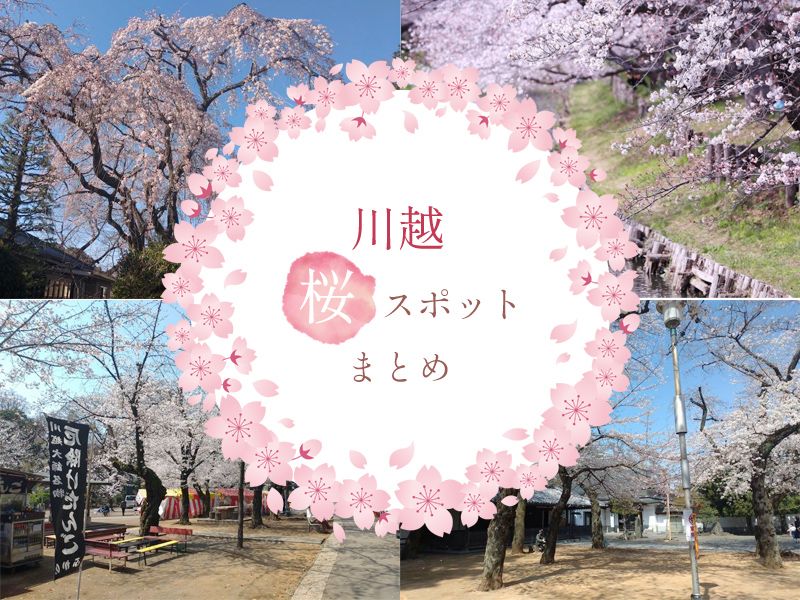 川越の桜の名所7選