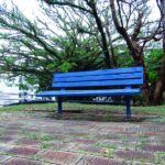 川越市・みよしの公園【遊具・トイレ・アクセス情報】