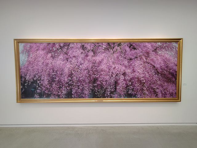 ヤオコー美術館 「爛漫」