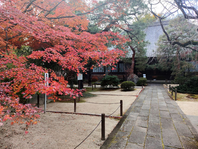 中院の紅葉