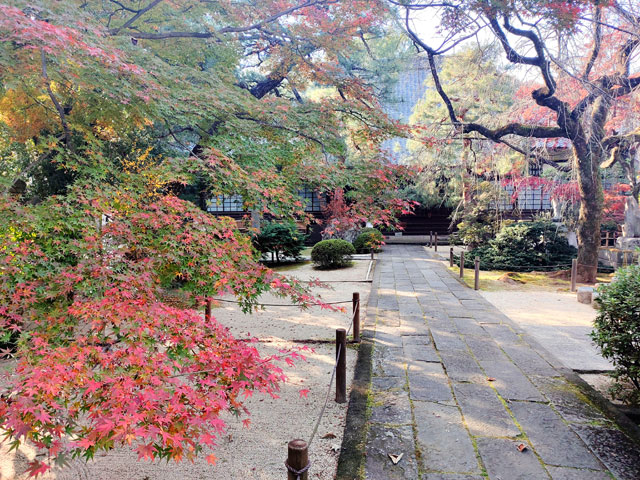 中院の紅葉