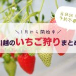 【2022年】川越のいちご狩りスポット4選！当日OK・予約不要の農園は？