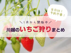 【2022年】川越のいちご狩りスポット4選!当日OK・予約不要の農園は?