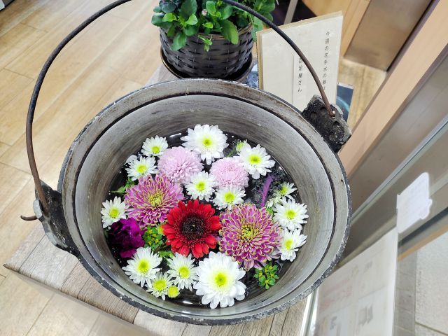 22年 川越の花手水が見られるスポットをマップで紹介