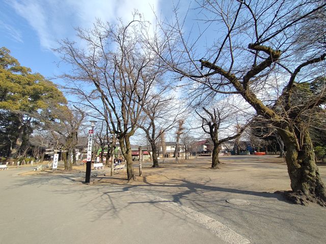 喜多院 桜