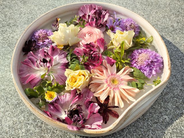 川越 中院 桜
