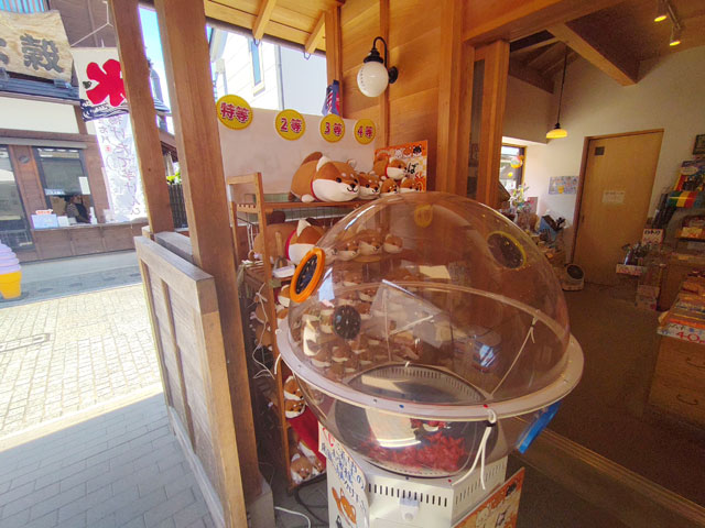 稲葉屋本舗のくじ引き