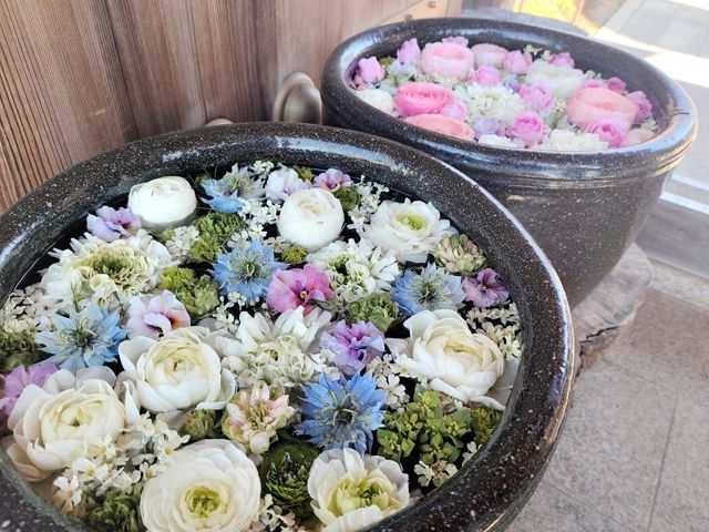 最明寺に訪問 花手水が美しい川越のお寺 駐車場 御朱印は