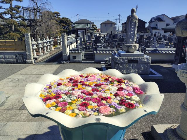 最明寺の花手水