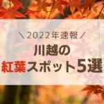 【2022年】川越の紅葉名所おすすめ5選！見頃の時期は？