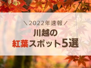 【2022年】川越の紅葉名所おすすめ5選！見頃の時期は？