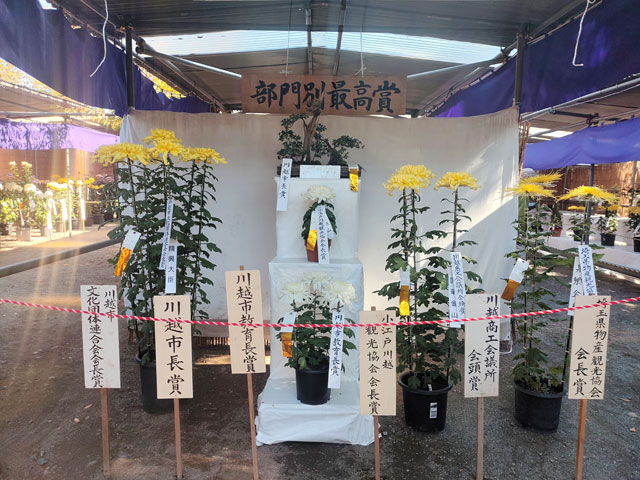 喜多院の菊まつり